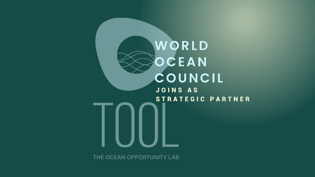 Hands holding each other